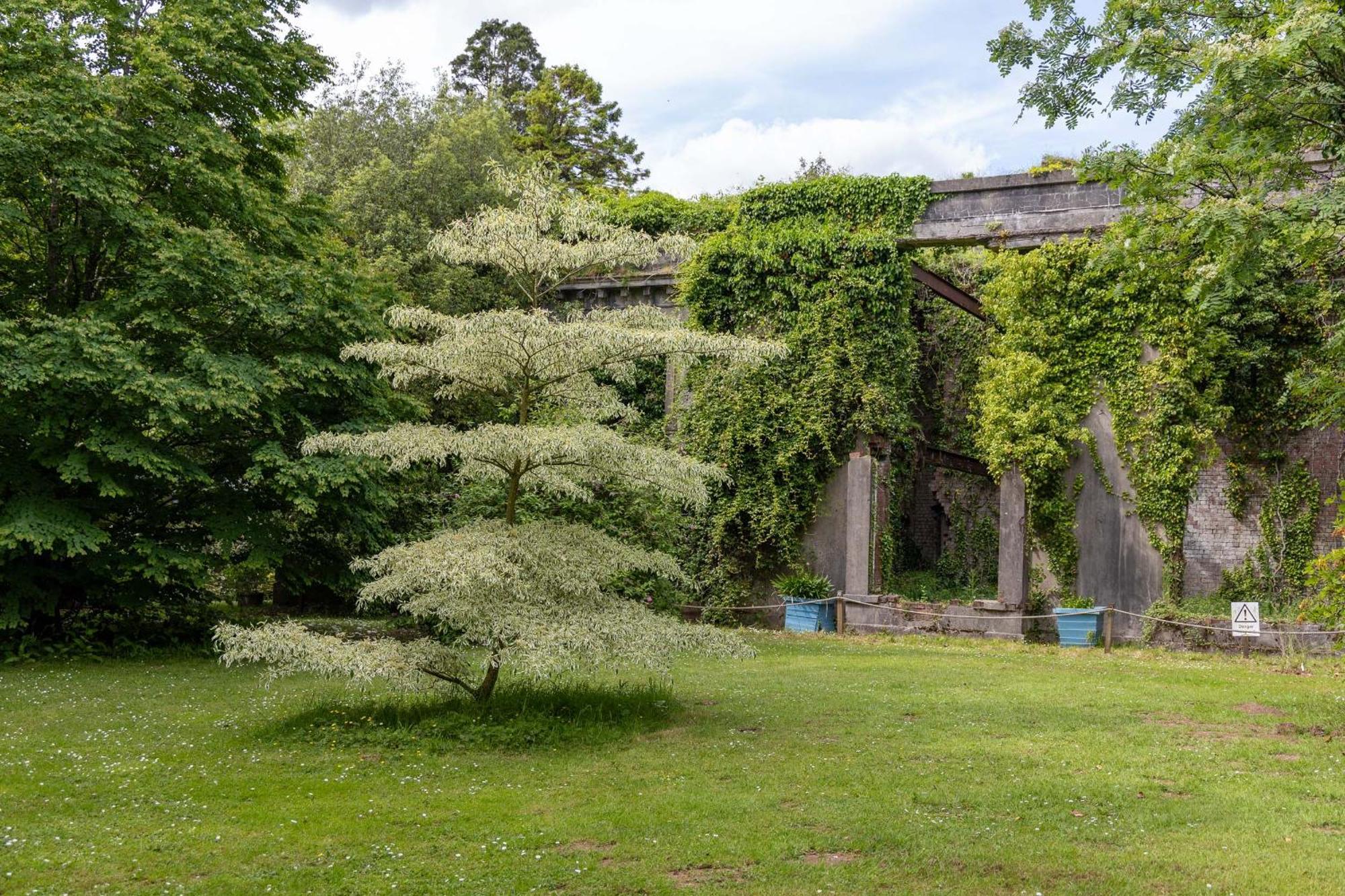 فيلا The Old Carriage Court Kidwelly المظهر الخارجي الصورة